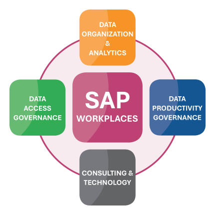 Übersichtsgrafik aller vier SAP-Kompetenzfelder in Clusterform: Datenorganisation, Zugriffssteuerung, Produktivitäts-Governance und Technologieberatung