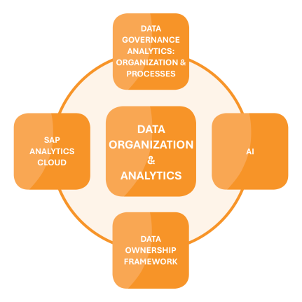 Modulgrafik zu Data Organization & Analytics mit KI, SAP Analytics Cloud, Governance-Prozessen und Ownership Framework