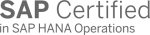 Logo on grey on white SAP S4HANA Operations.