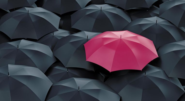 Viele aufgespannte schwarze Regenschirme und ein pinker Regenschirm in der Mitte.